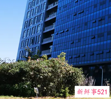 企业绩效管理的困局