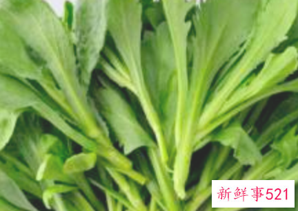 茼蒿菜有啥营养