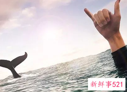 如何克服过度焦虑