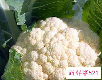 常见的蔬菜种类10种图片