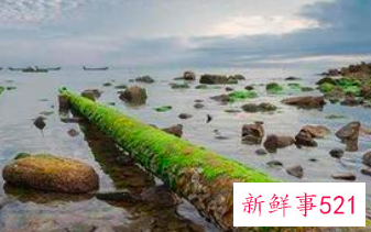 梦见很浑浊的水是什么意思