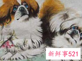 属狗的人佩戴什么旺财