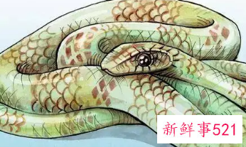 怀孕梦见蛇爬身上是什么意思