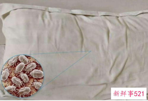 怎样除床上螨虫最有效方法