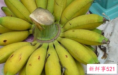 孕妇梦见芭蕉是什么意思