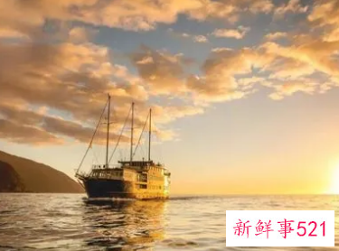 梦见汽船预示什么