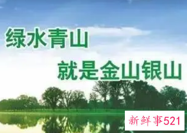 保护绿水青山的宣传标语