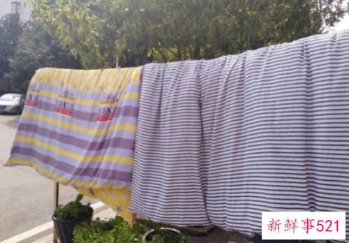 怎样除床上螨虫最有效方法