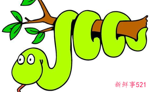 梦见很多蛇缠身有什么征兆