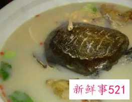 女性喝甲鱼汤的好处与坏处