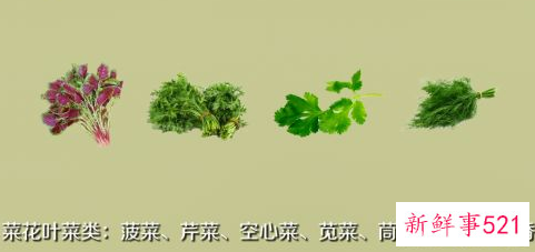 常见的蔬菜种类10种图片