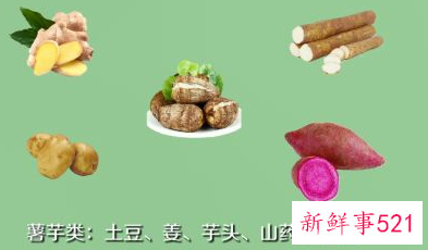 常见的蔬菜种类10种图片