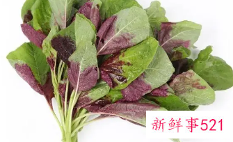 苋菜为什么不能晚上吃