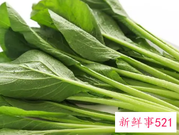 常见的蔬菜种类10种图片