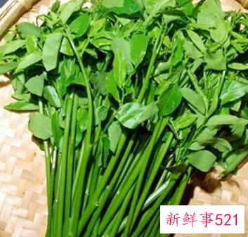 吃竹叶菜有哪些好处