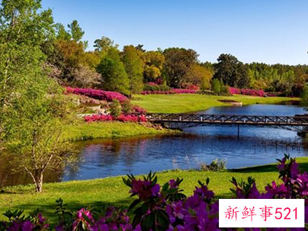 梦见公园什么寓意