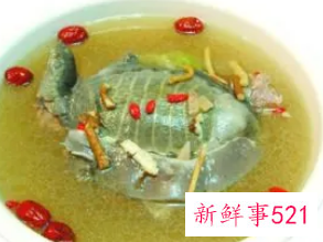 女性喝甲鱼汤的好处与坏处