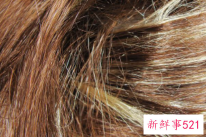 头发分叉严重怎么办