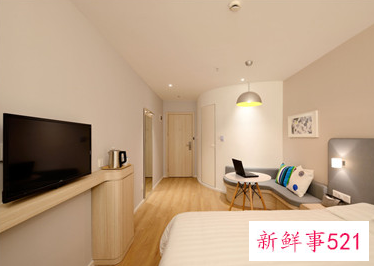 电视柜两旁植物禁忌