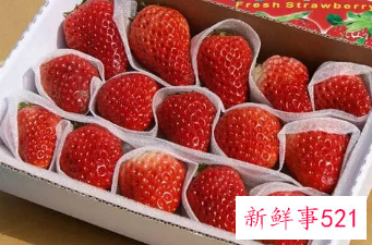 在宿舍怎么保存草莓