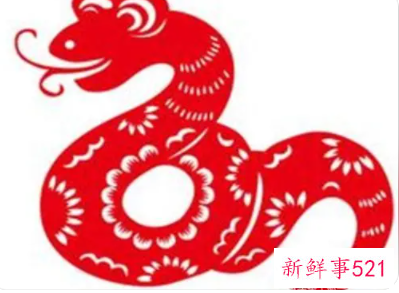 属蛇男人喜欢女人类型