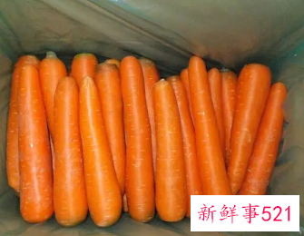 胡萝卜怎样保存