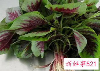 苋菜为什么不能晚上吃