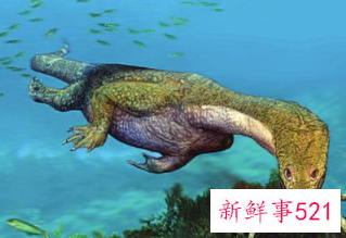 目前海洋最大的生物