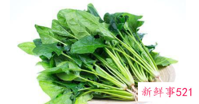 菠菜不能跟什么同食