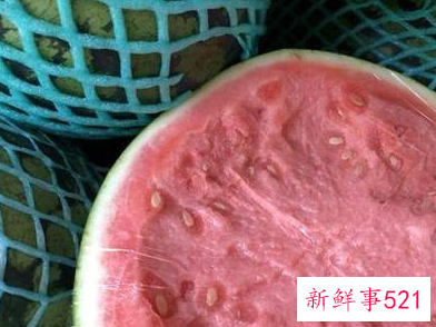 西瓜霜真的是西瓜的霜吗