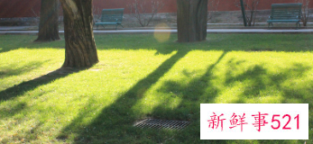 老年人冬季锻炼七大需知