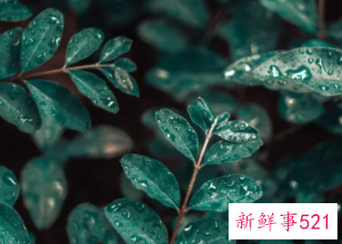 你的简历为什么没有回复