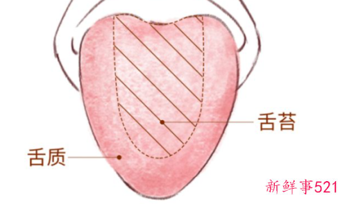 宝宝白色舌苔怎么办