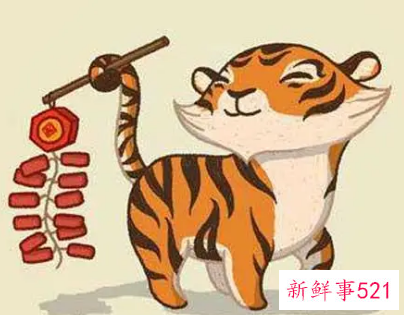 女孩漂亮有涵养的名字属虎