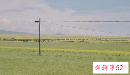 容易让前任后悔的星座女