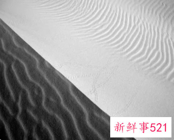 梦见冷淡有什么征兆