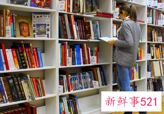 梦见小说是什么意思