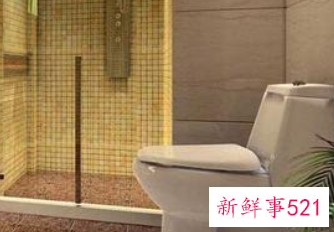 梦见厕所拉屎是什么意思