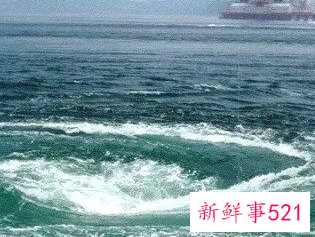 梦见旋风旋住了自己意味着什么