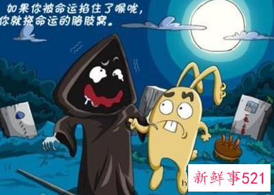 遭遇霉运该如何应对