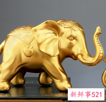 大象风水摆件禁忌与寓意有哪些