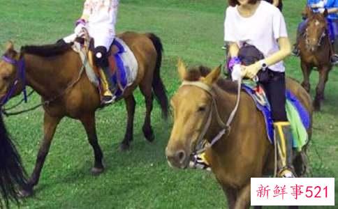 梦见骑马赶路有什么寓意