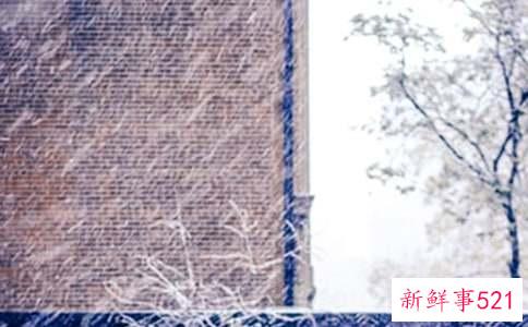 梦见八月下雪是什么征兆