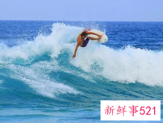 游泳没有冲浪危险