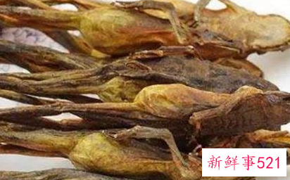 女人必吃的十大补品排名