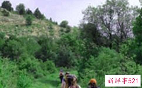 梦见爬山预兆什么