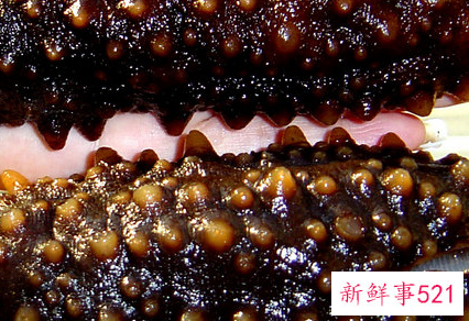 女人必吃的十大补品排名