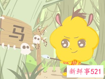 属马的在虎年运势如何