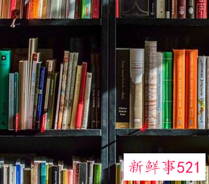 梦见小说是什么意思