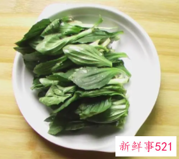 新鲜车前草怎么做好吃